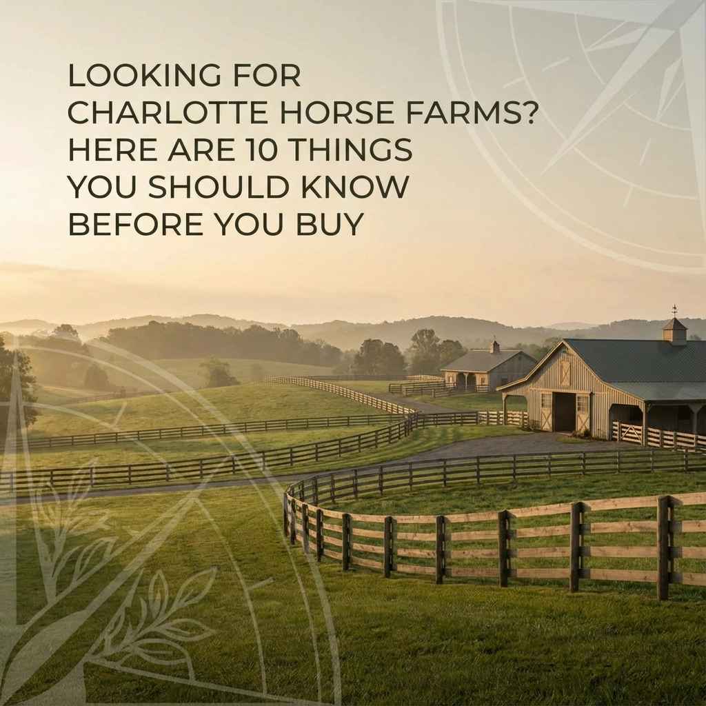 Looking For Charlotte Horse Farms? Here Are 10 Things You Should Know Before You Buy