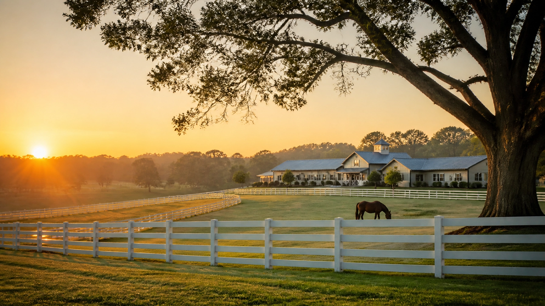 The Ultimate Guide to North Carolina Horse Farms: Everything You Need to Succeed in the Charlotte Metro Market