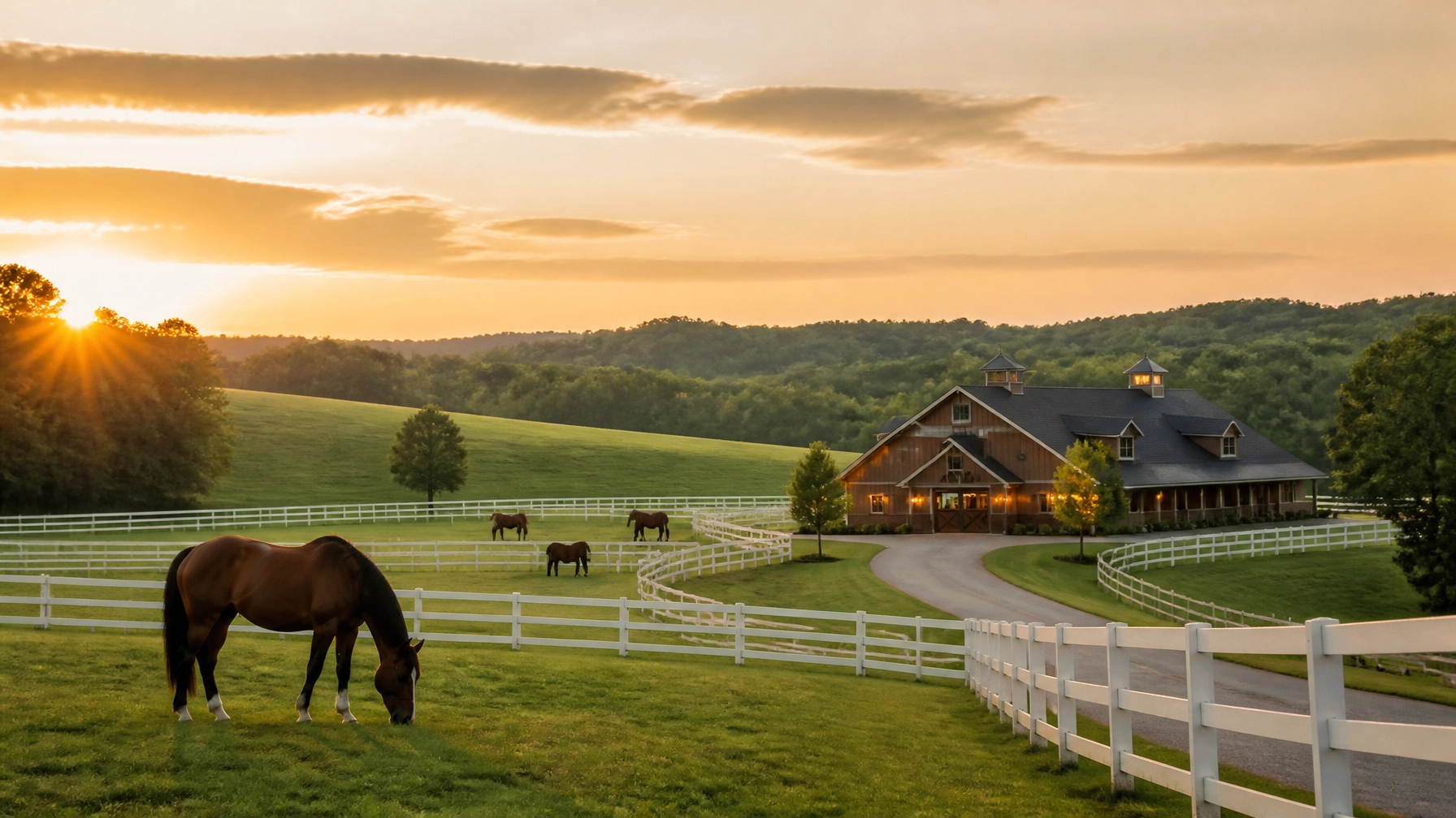 The Ultimate Guide to Equestrian Properties in Charlotte NC: Everything You Need to Succeed in Summit Farms
