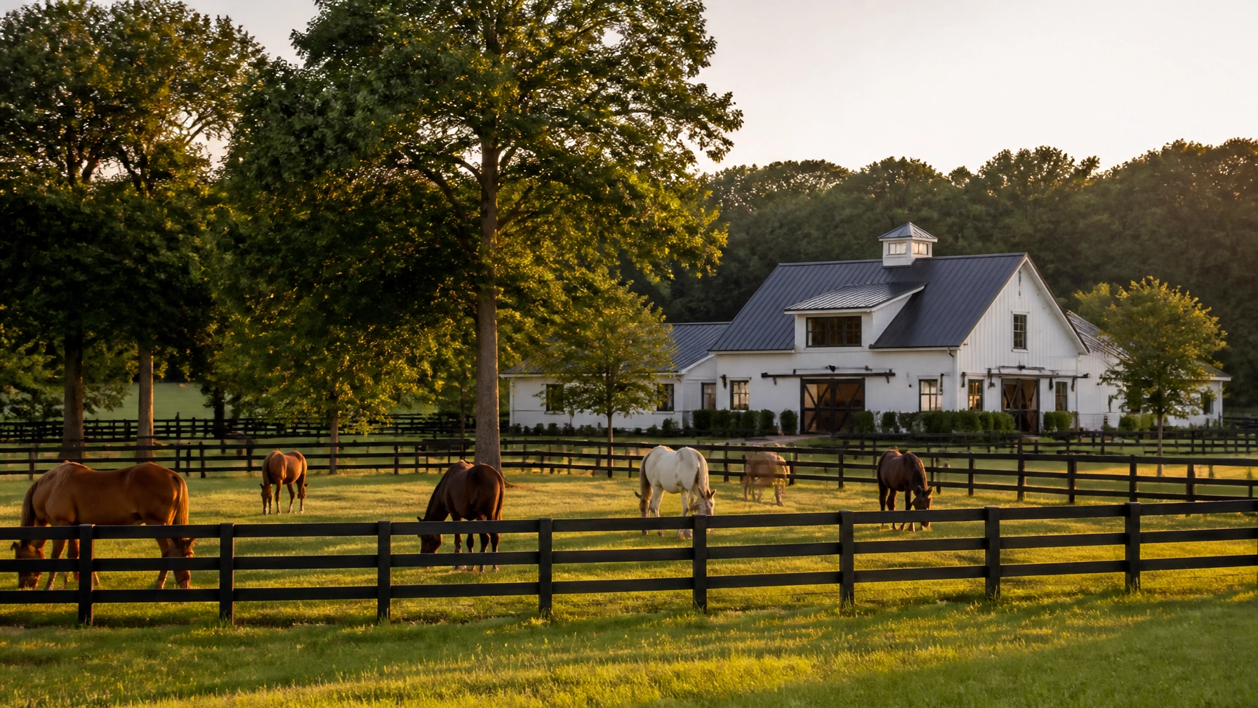 The Ultimate Guide to Equestrian Properties in Charlotte NC: Everything You Need to Succeed