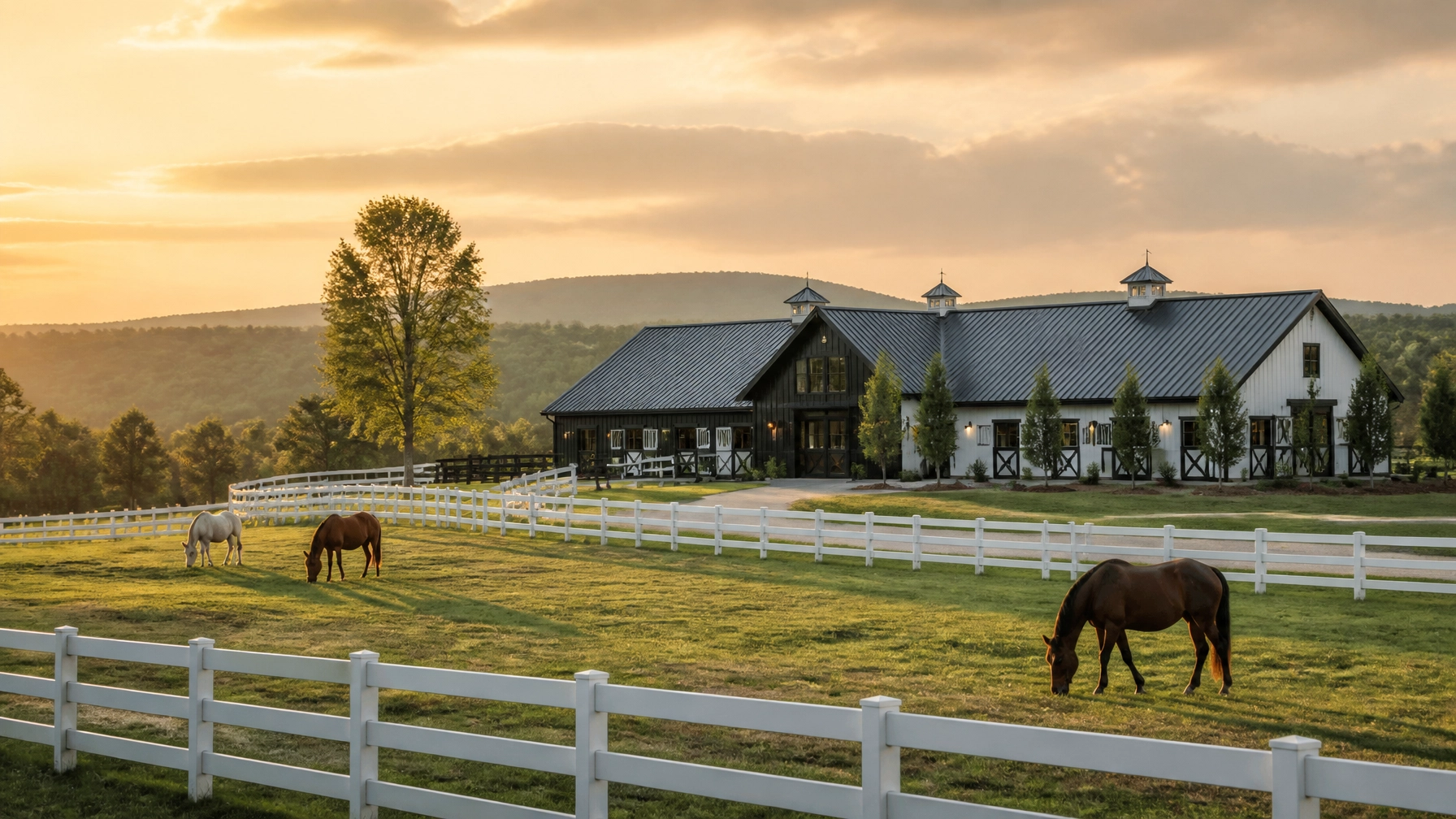 Charlotte Equestrian Market 2026: Trends, Communities & Buying Guide for Horse Farm Enthusiasts