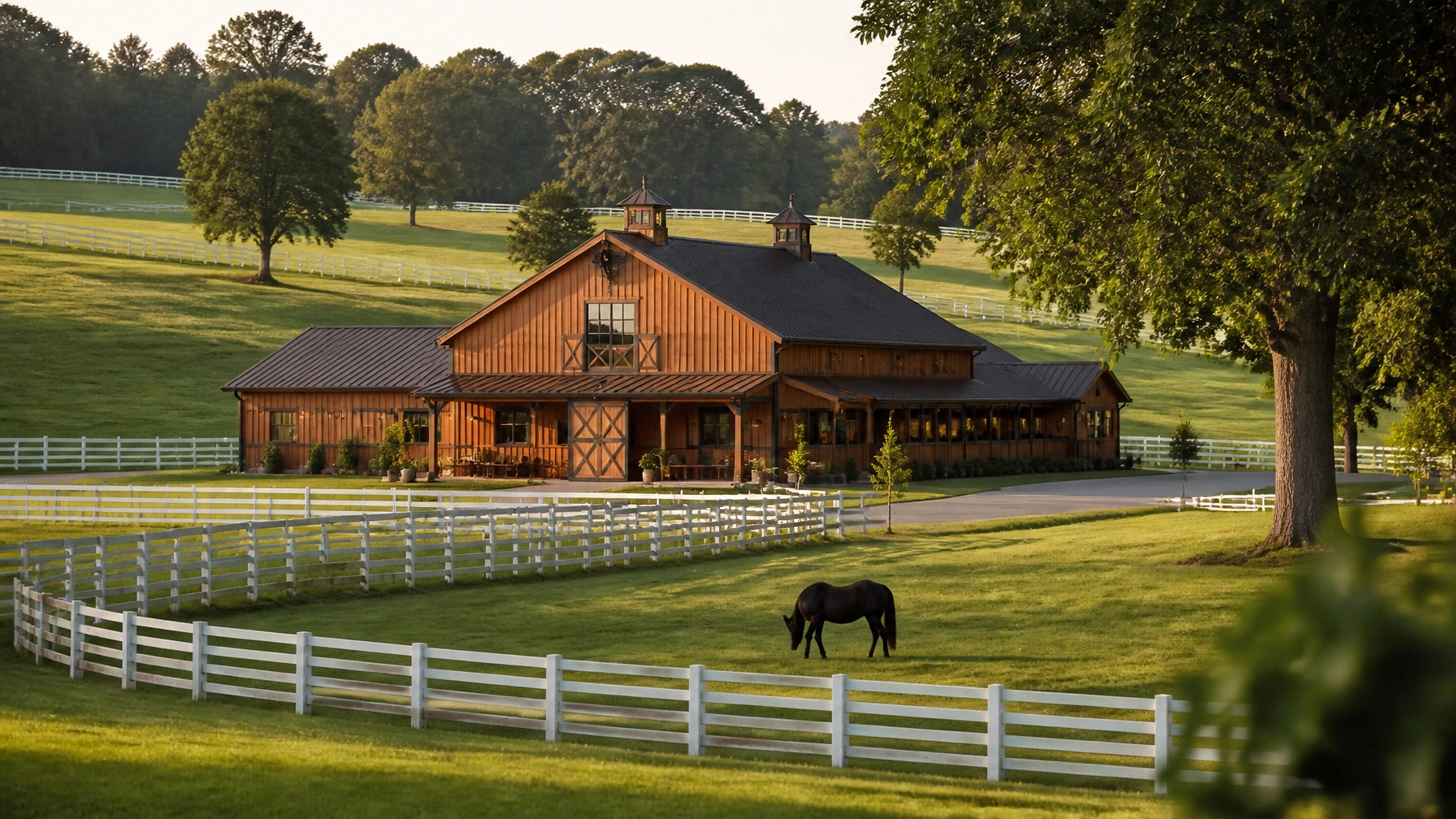 Looking For Horse Farms for Sale? Here Are 10 Things You Should Know About the Charlotte Market