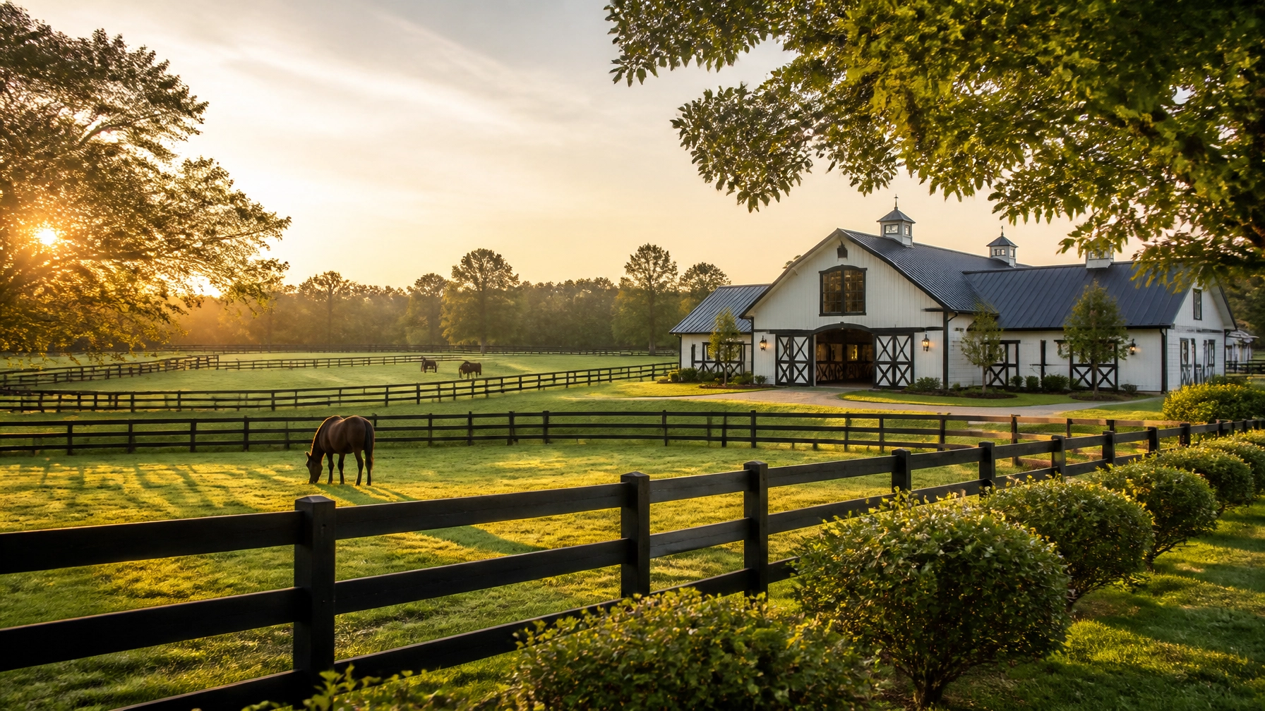 Charlotte’s Equestrian Market in 2026: Trends, Communities, and Your Next Move