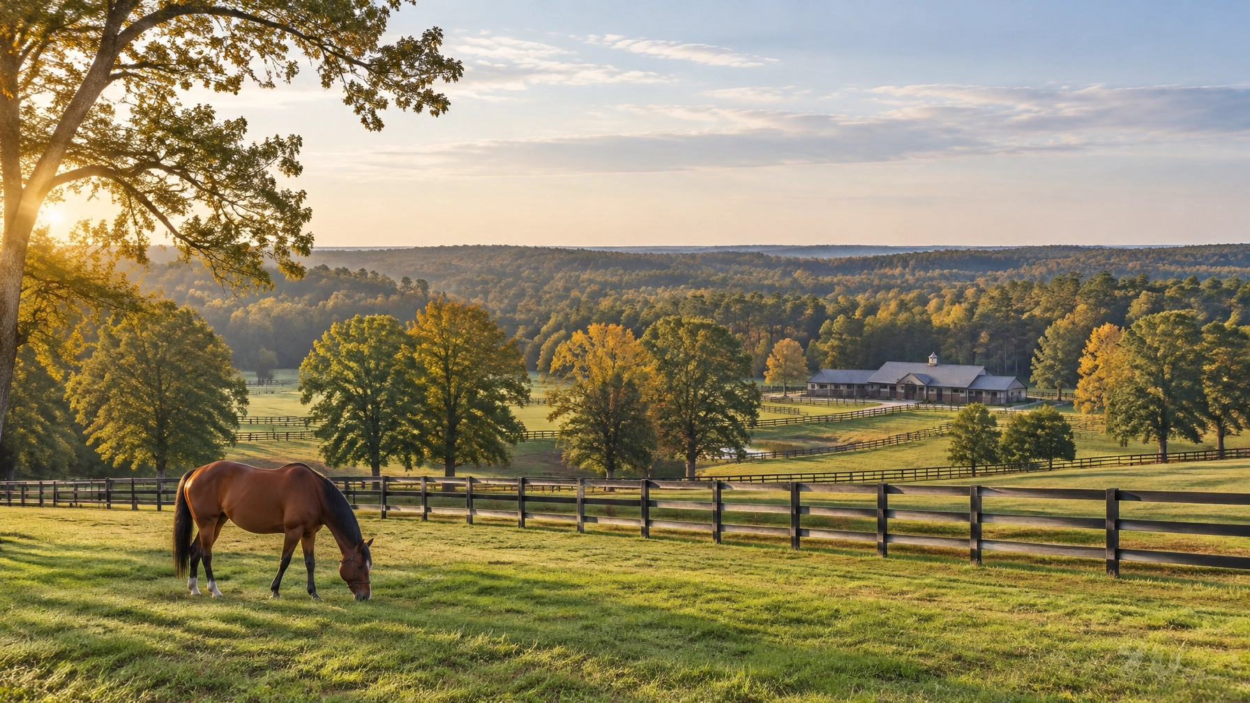Charlotte Equestrian Market & Lifestyle Focus: New Charlotte Horse Farms for Sale, Late-September Market Trends & the Horse-First Buying Guide